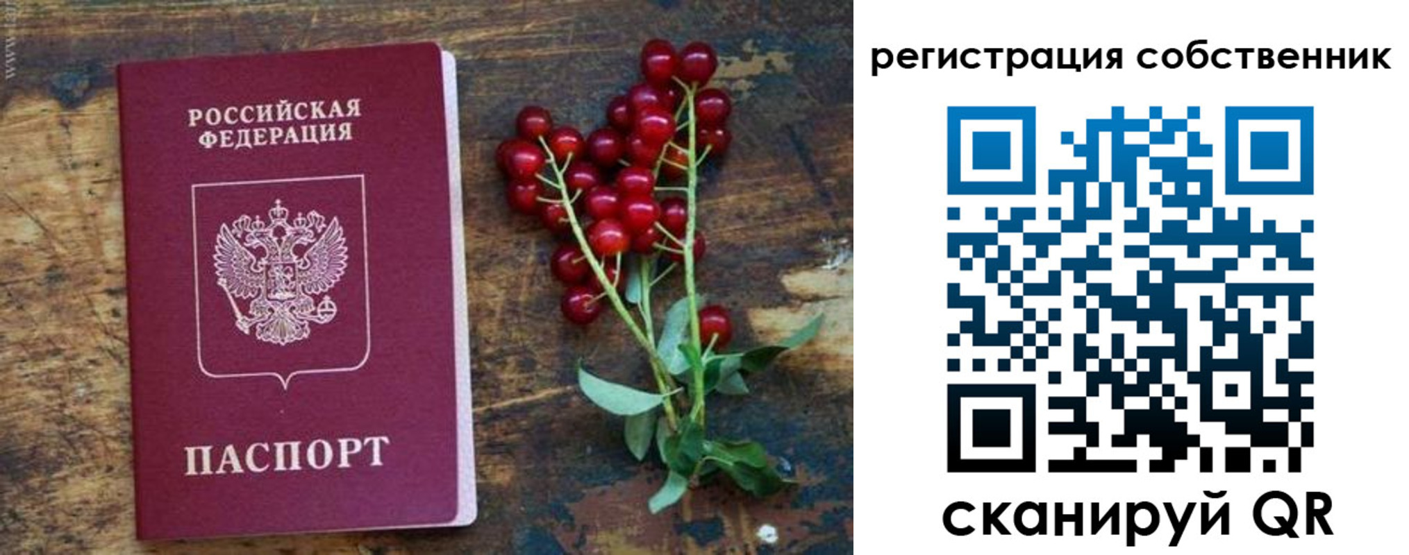 регистрация для дет. сада в Печоре